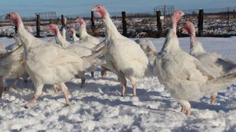 Ferme biologique Saint-Vincent